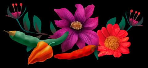 flowers and chilli